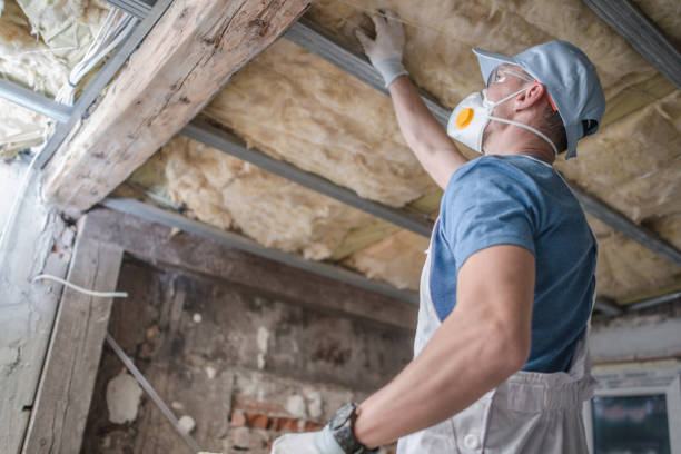Best Insulation Maintenance and Repair in Canon, GA