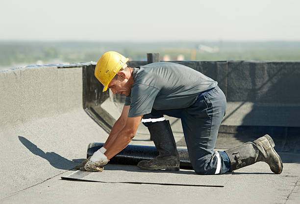 Best Insulation Installation Services in Canon, GA